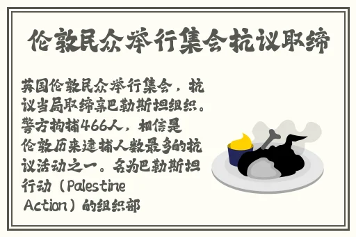 欧美精品一级视频