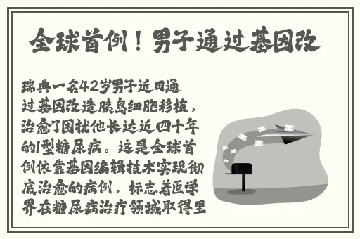日韩AV在线兔费看