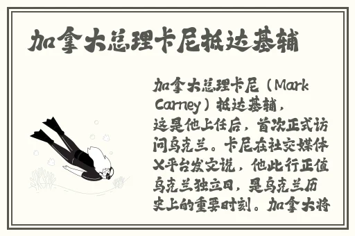桃子视频在线观看高清在线观看